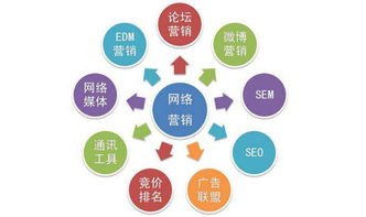 扬州专业全网推广哪家效果好 诚信服务 南京讯搜信息技术供应